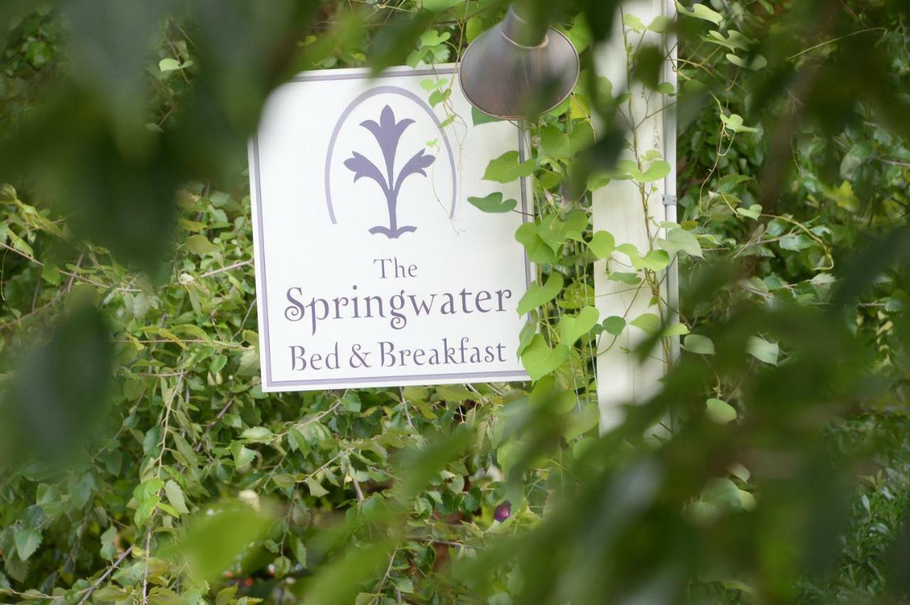 The Springwater Bed And Breakfast Saratoga Springs Exteriör bild