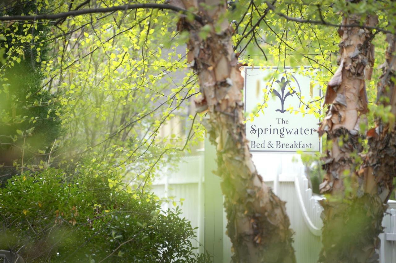 The Springwater Bed And Breakfast Saratoga Springs Exteriör bild